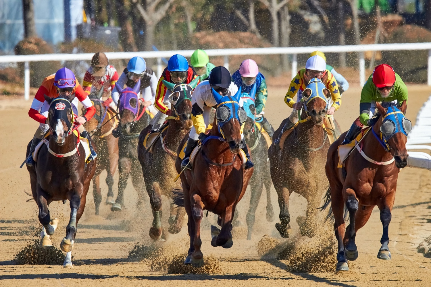 Kentucky Derby 2020 All You Need To Know About The Horse Race OTHER