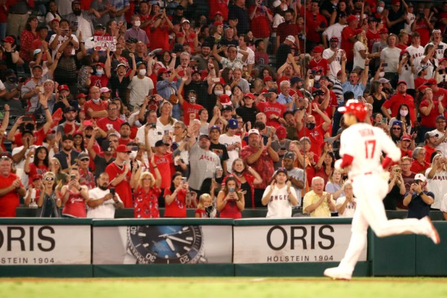 Shohei Ohtani Maintains Lead in MLB Home Run Race; Perez, Guerrero Jr. Within Striking Distance